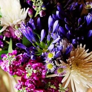 Meet your Posher, Shawna